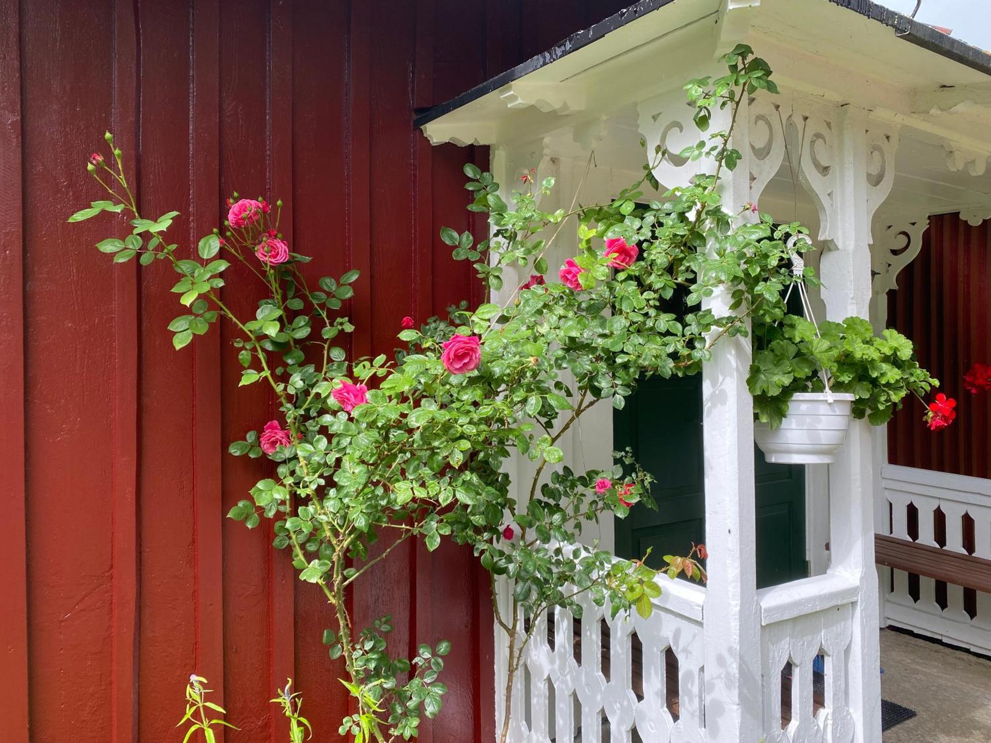 Stenbrottets Lillstuga Falköping Екстериор снимка